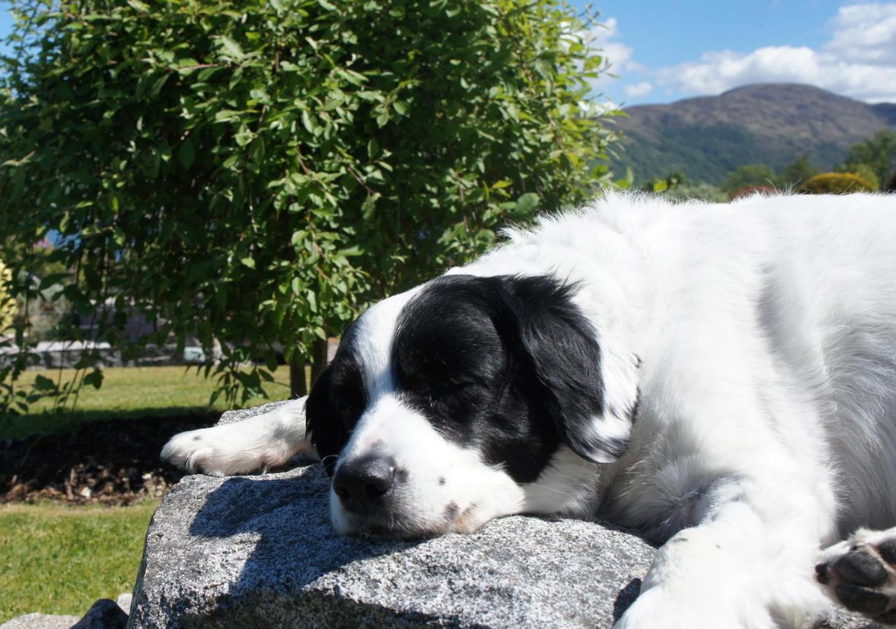 The Allanbreck Studio Glencoe Ballachulish Highlands Near Fortwilliam Bagian luar foto